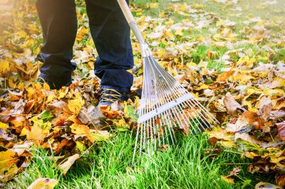 Yard Waste Removal - Leaf Disposal Burnet County, Texas