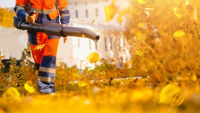 Leaf Collection - Leaf Removal Service Springfield, Illinois