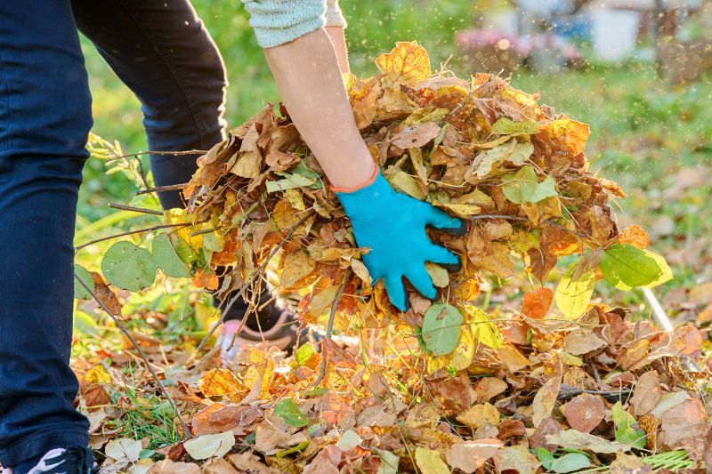 Leaf Removal detail