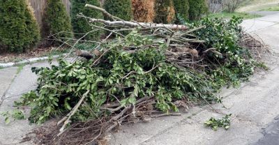 Lawn Care - Yard Clean Up Eastham, Massachusetts